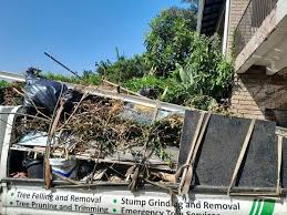 Best Residential Junk Removal  in Wheelersburg, OH